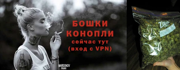 ГАЛЛЮЦИНОГЕННЫЕ ГРИБЫ Вяземский
