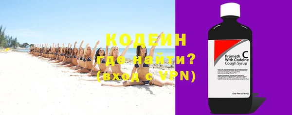 ГАЛЛЮЦИНОГЕННЫЕ ГРИБЫ Вяземский