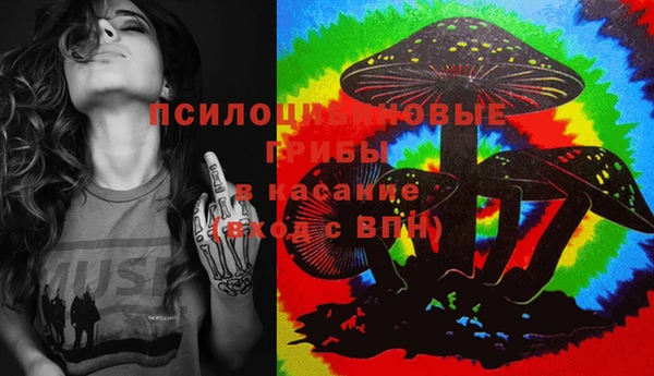 хмурый Гусев